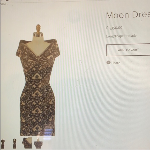 Anya Ponorovskaya $1300 Originally!! Brocade Dress - Picture 7 of 15